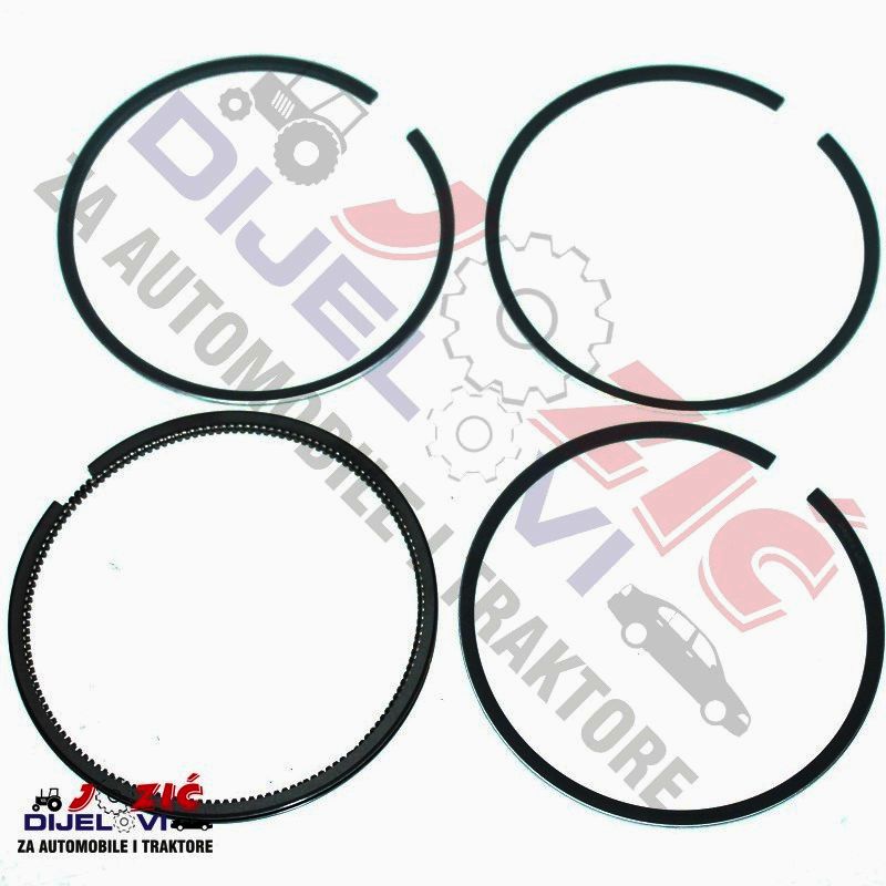 Daisy on the Ohoopee